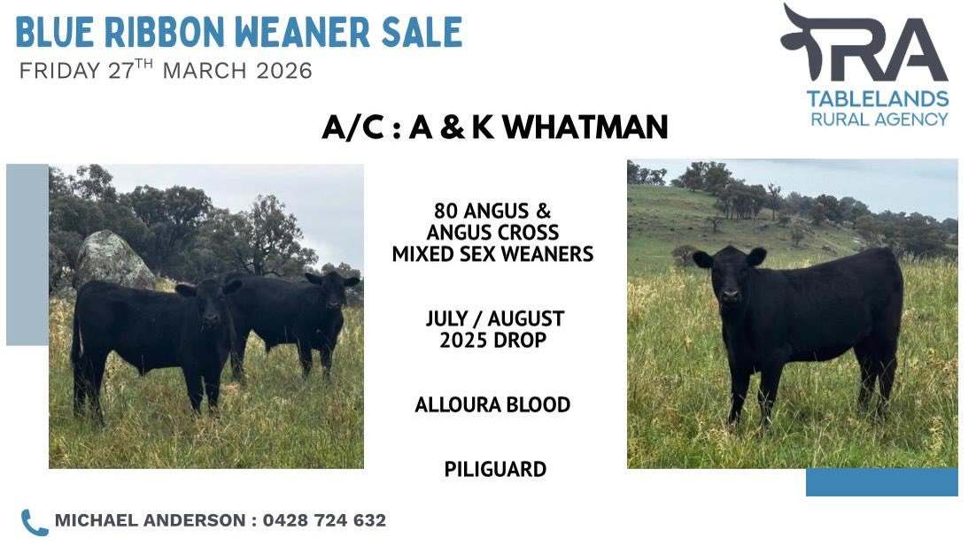 National Route 24, Carcoar  by Farmbuy.com - image 3