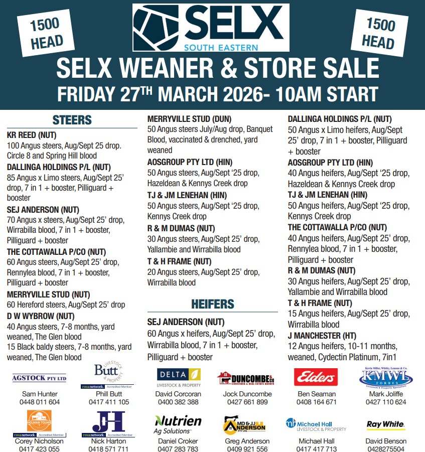 Bellevale Rd, Yass  by Farmbuy.com - image 2