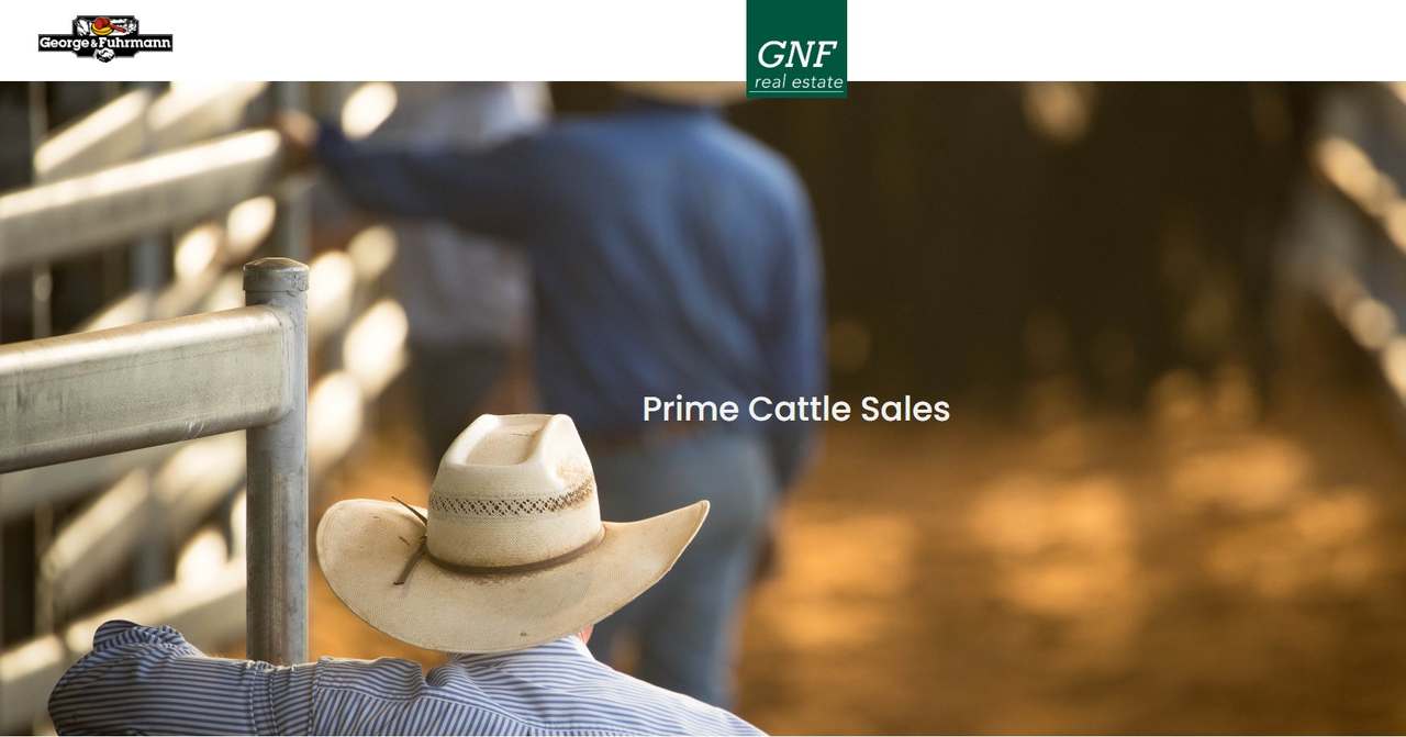 8 High Street, Stanthorpe  by Farmbuy.com - image 1