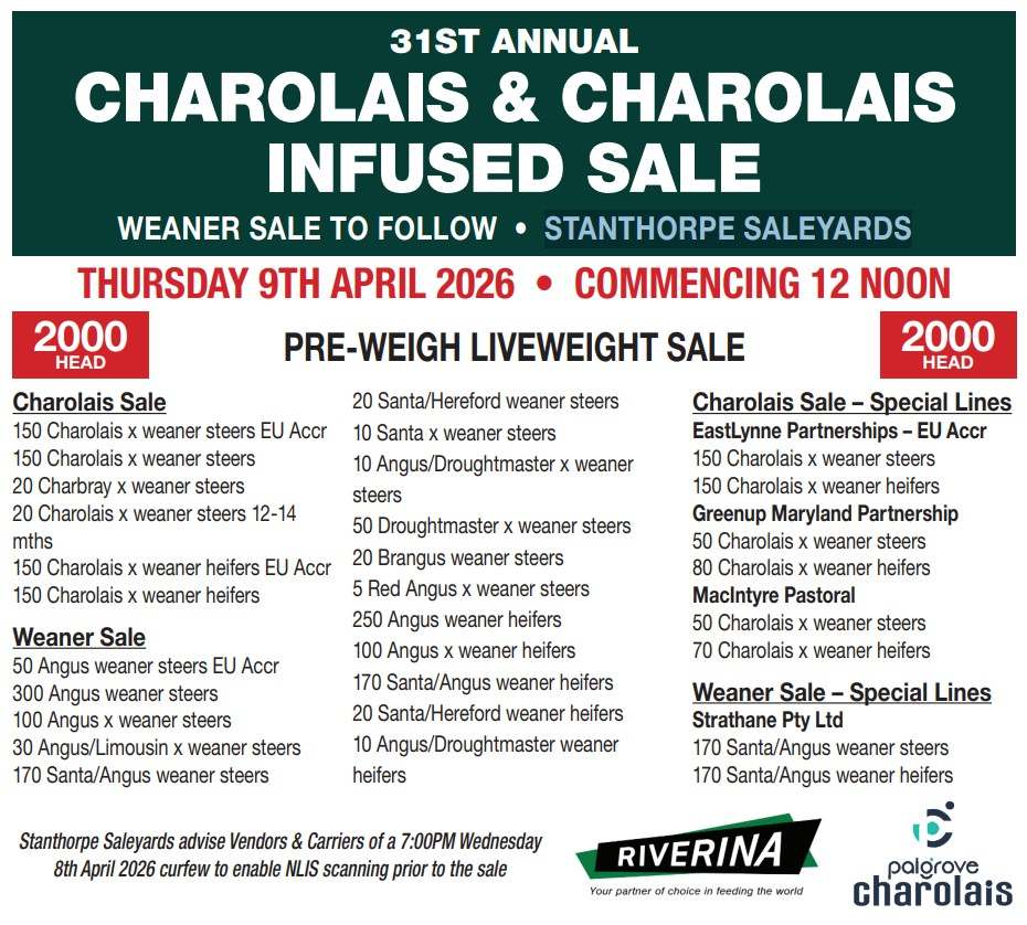 8 High Street, Stanthorpe  by Farmbuy.com - image 2