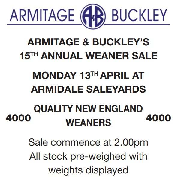 121 Bundarra Road, Armidale  by Farmbuy.com - image 2