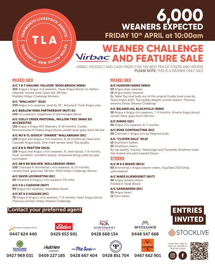 Phoenix Street, Westdale  by Farmbuy.com - image 2