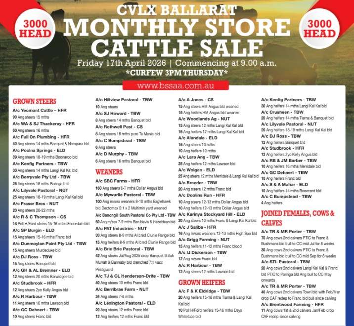 139 Sunraysia Hwy, Miners Rest  by Farmbuy.com - image 2