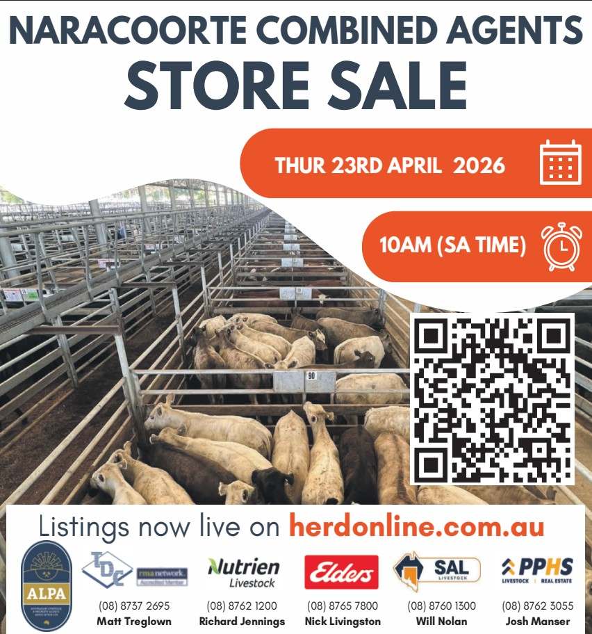 400 Carters Rd, Naracoorte  by Farmbuy.com - image 2