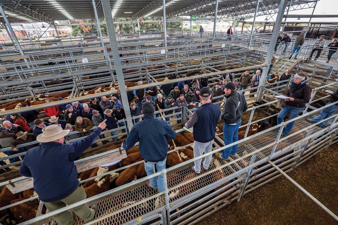 Saleyards Rd, Sale  by Farmbuy.com - image 1