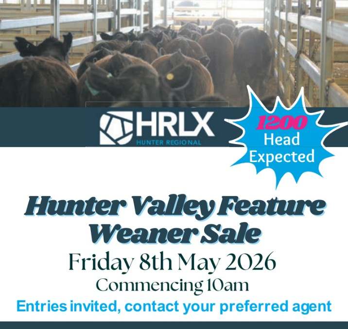 56 Gresford Rd, Clydesdale  by Farmbuy.com - image 2