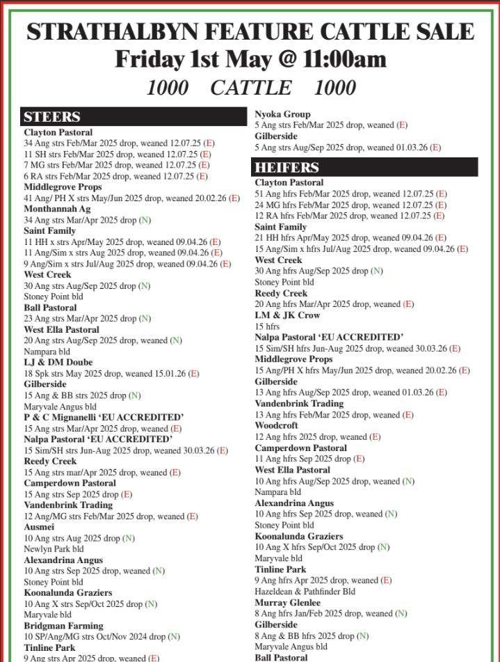 14 Albyn Terrace, Strathalbyn  by Farmbuy.com - image 2