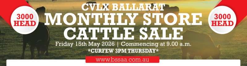 139 Sunraysia Hwy, Miners Rest  by Farmbuy.com - image 2