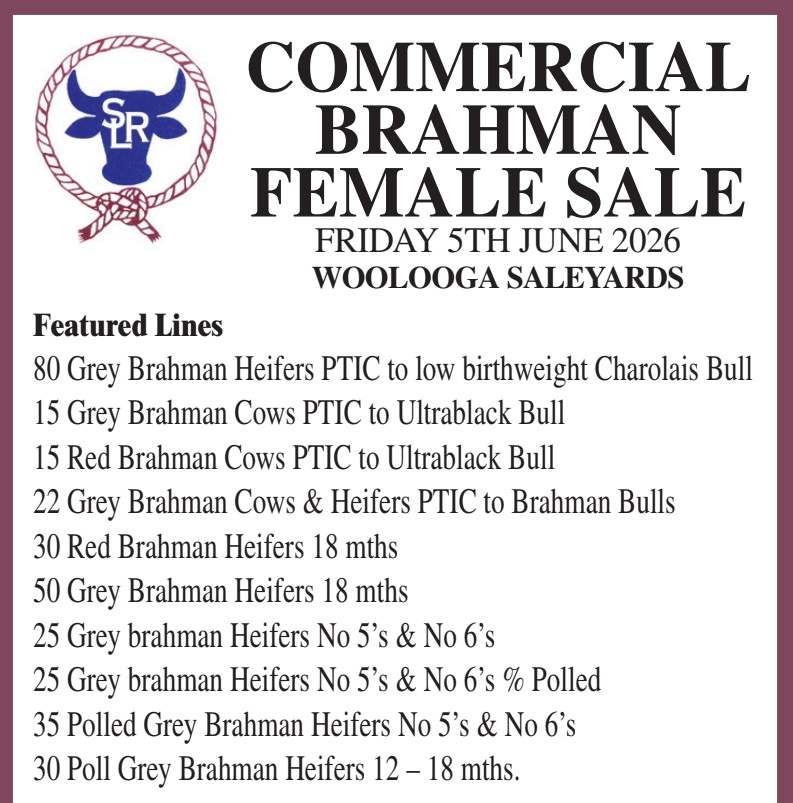 Woolooga  by Farmbuy.com - image 2