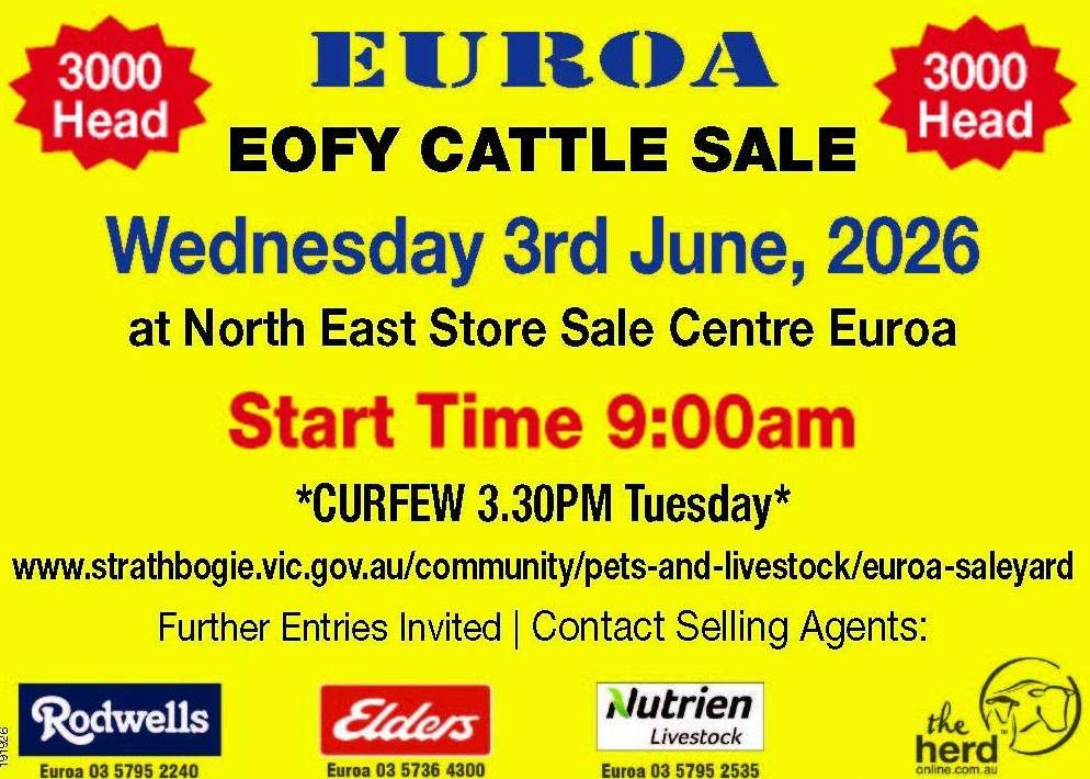 58 Sutherland Street, Euroa  by Farmbuy.com - image 2
