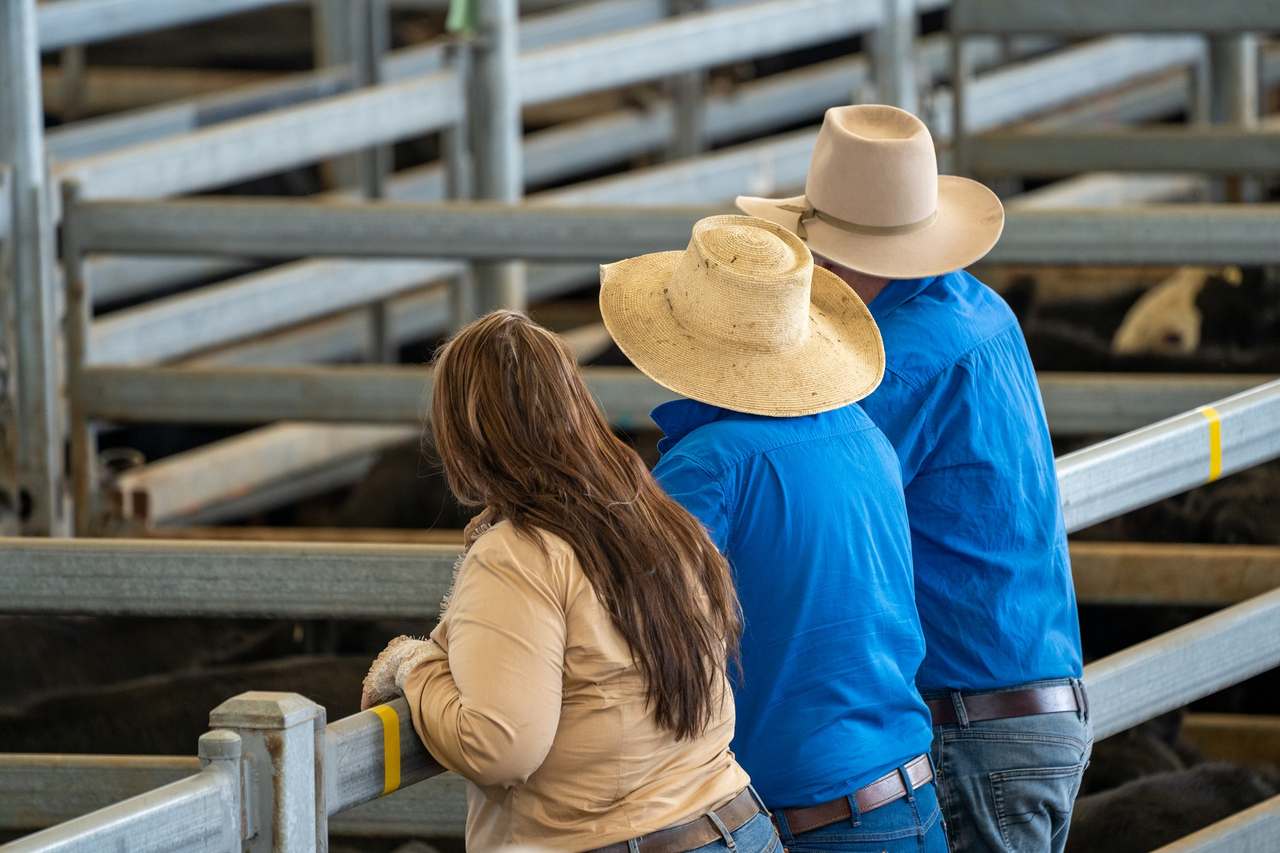 Saleyards Rd, Sale  by Farmbuy.com - image 1