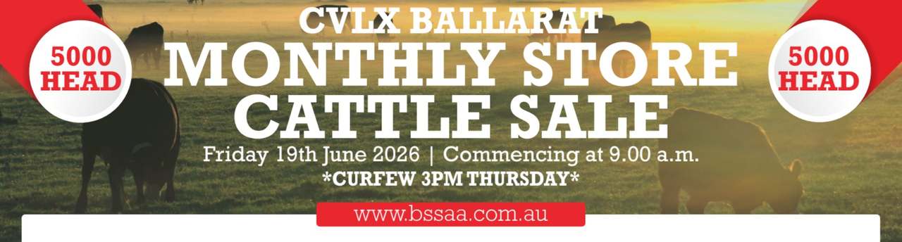 139 Sunraysia Highway, Miners Rest  by Farmbuy.com - image 2