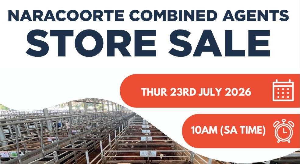 400 Carters Rd, Naracoorte  by Farmbuy.com - image 2