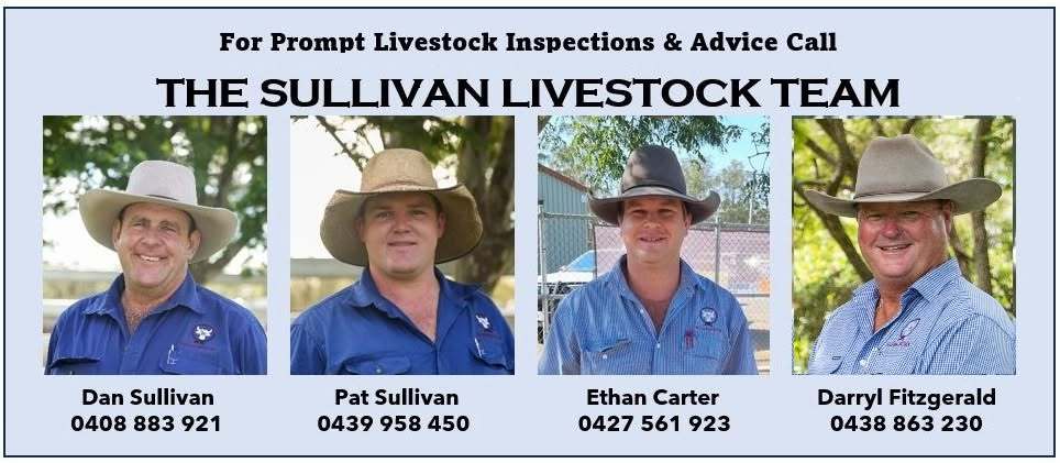 Saleyards Road, Araluen  by Farmbuy.com - image 1