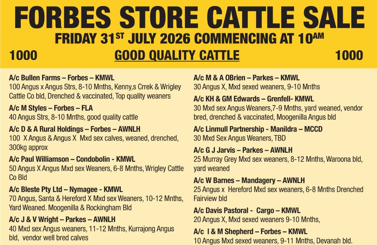 Back Yamma Rd, Forbes  by Farmbuy.com - image 2