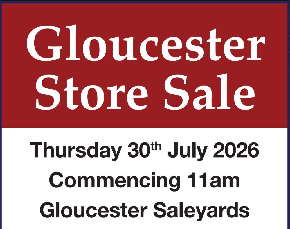 Cnr Cemetery Rd & Bucketts Way, Gloucester  by Farmbuy.com - image 2