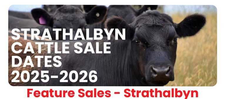 37 Dry Plains Road, Strathalbyn  by Farmbuy.com - image 1