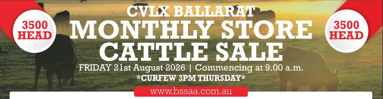 139 Sunraysia Highway, Miners Rest  by Farmbuy.com - image 2