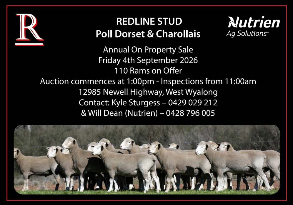 12985 Newell Highway, West Wyalong  by Farmbuy.com - image 2