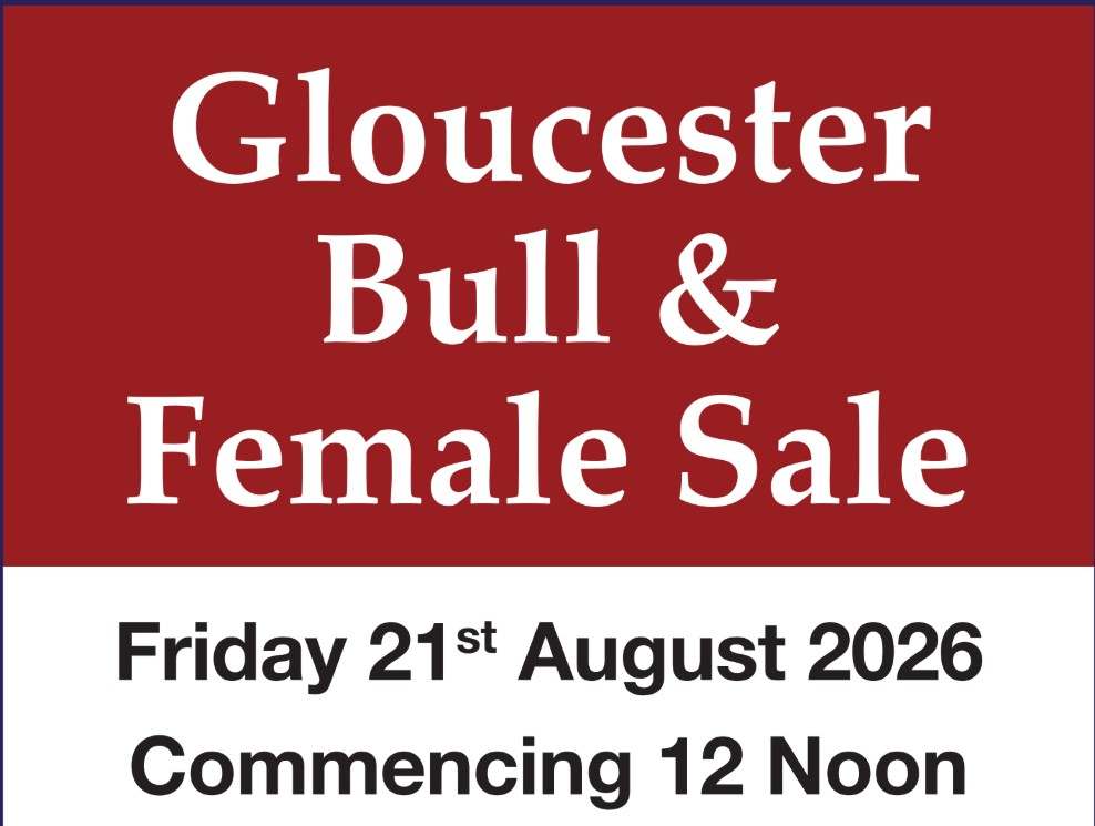 Cnr Cemetery Road & Bucketts Way, Gloucester  by Farmbuy.com - image 2
