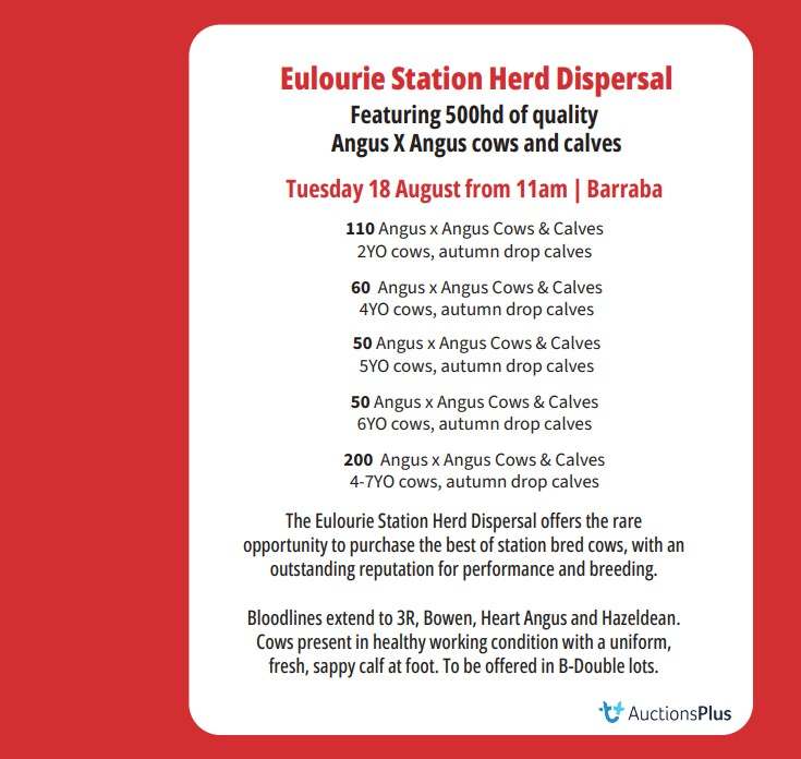 Eulourie Station - Fossickers Way (via Upper Horton), Upper Horton (near Barraba)  by Farmbuy.com - image 2