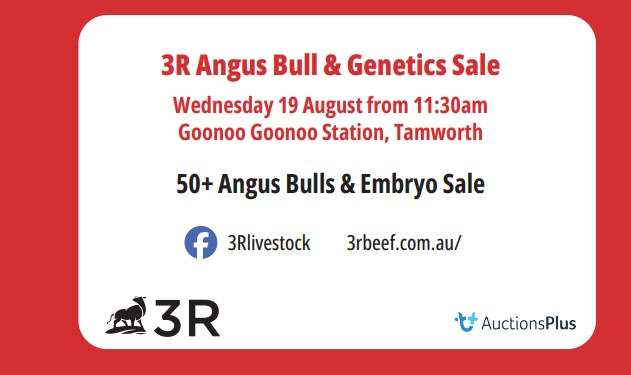 13304 New England Highway, Timbumburi, Tamworth  by Farmbuy.com - image 2