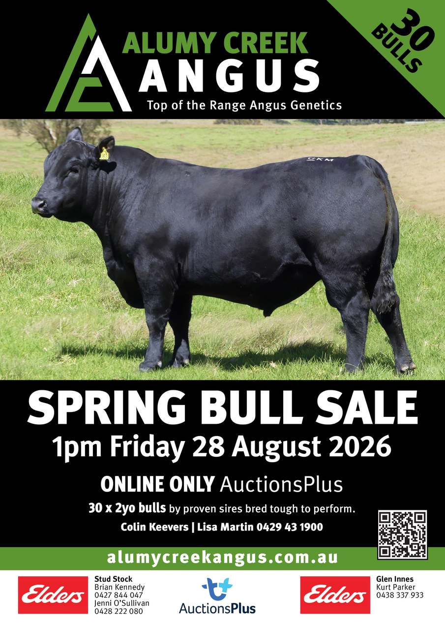 420 Scrub Rd, Tenterfield  by Farmbuy.com - image 1