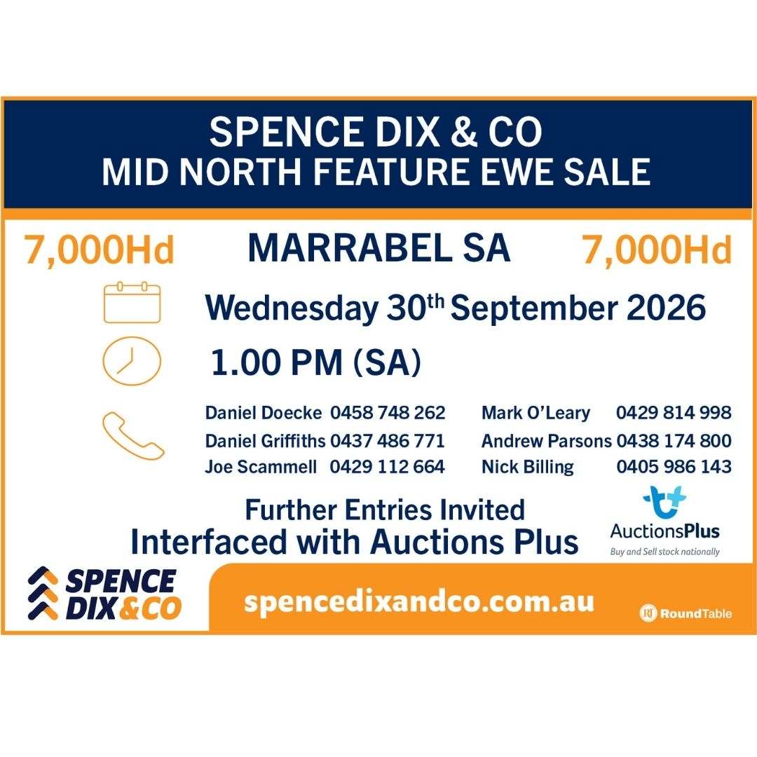 Main Road, Marrabel  by Farmbuy.com - image 4