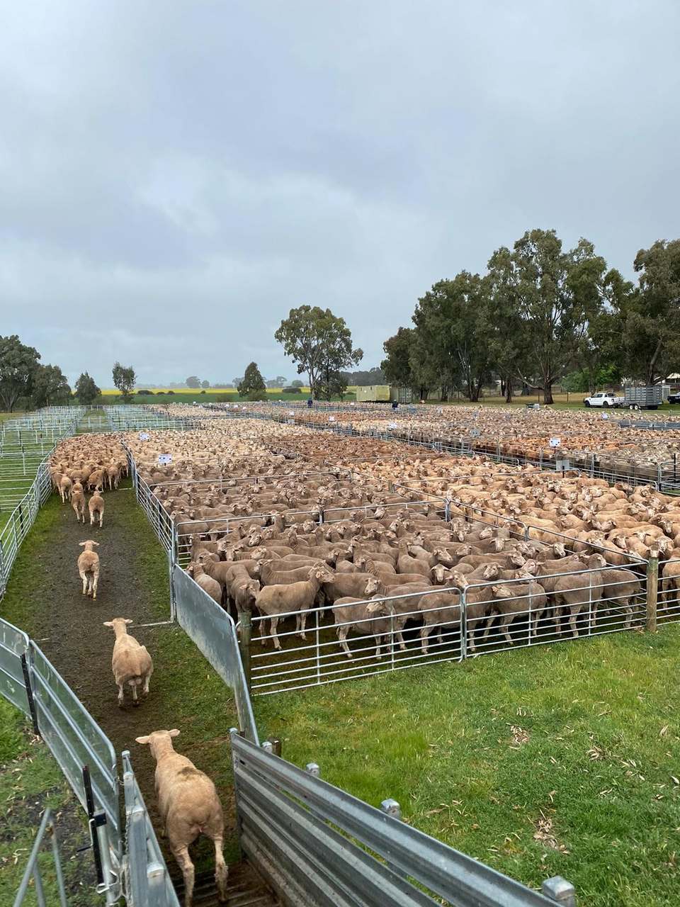 Main Road, Marrabel  by Farmbuy.com - image 3