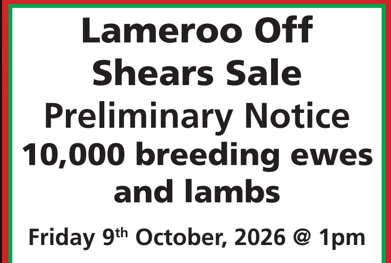 Saleyard Road, Lameroo  by Farmbuy.com - image 2