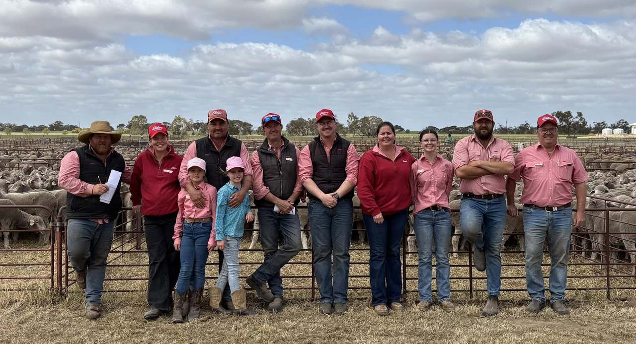 Saleyard Road, Lameroo  by Farmbuy.com - image 1