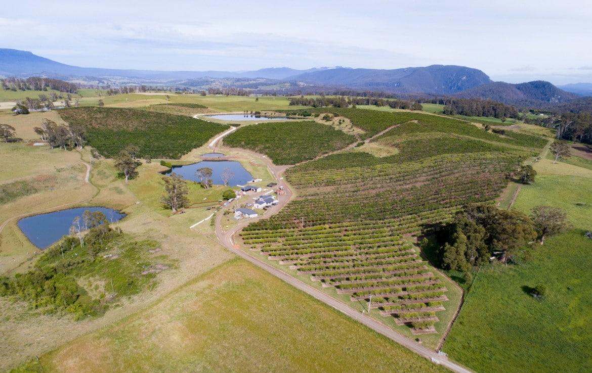 110 Trickett Rd, Needles Sold by Farmbuy.com - image 4