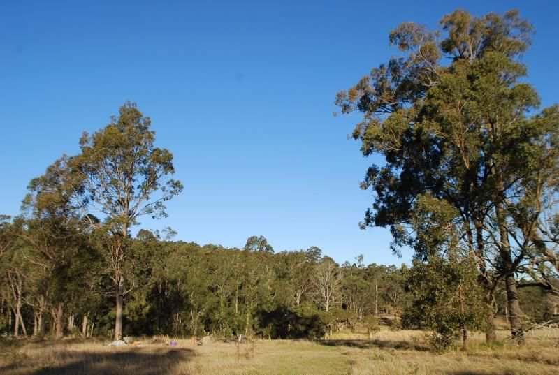 65 Redgum Drive, Clarence Town NSW 2321 [226321] - Other (Rural) Farms NSW