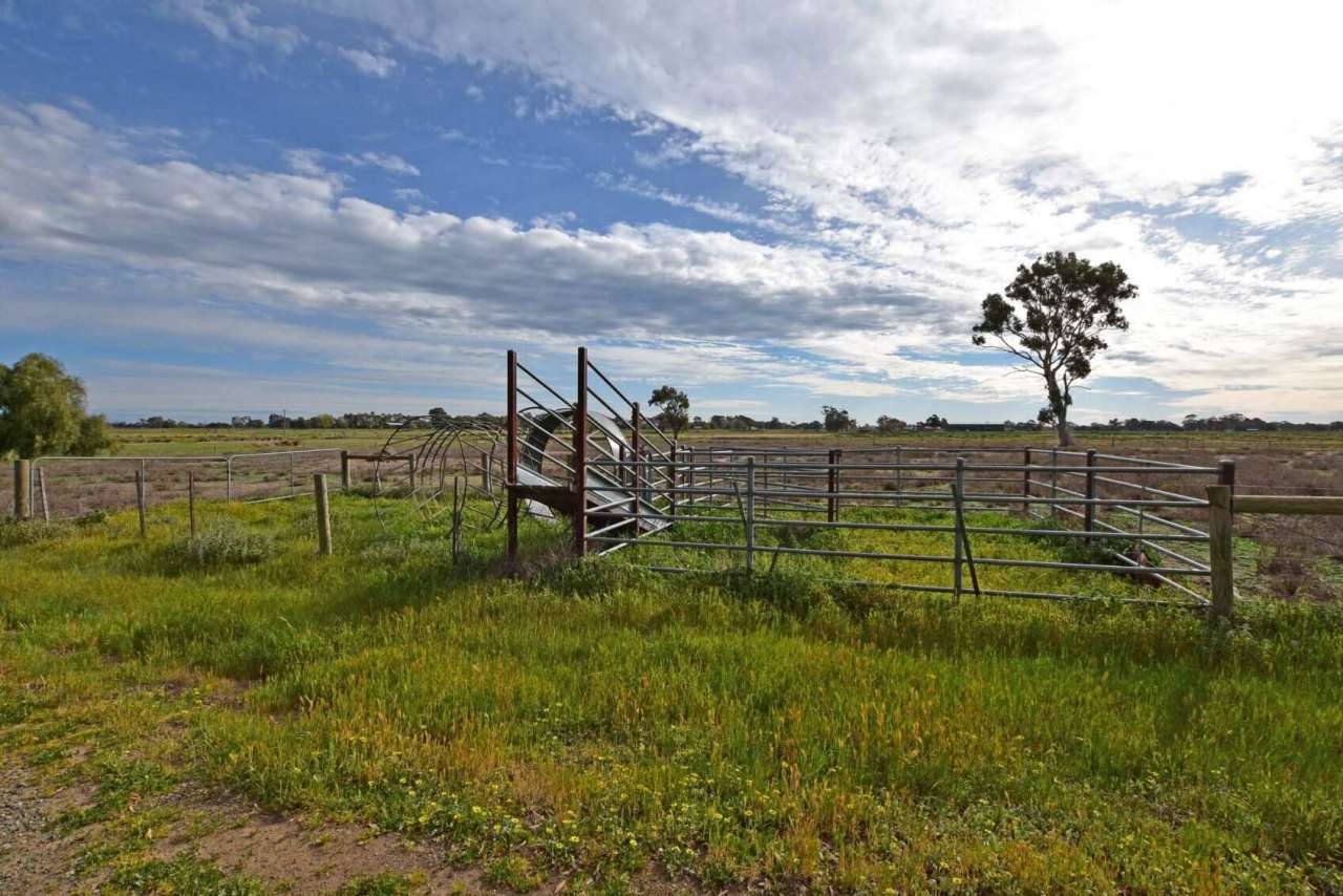 Unique Small Acreage - Farm Buy