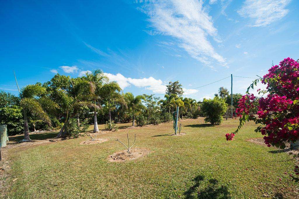 274 Kunapipi Rd, Midge Point For Sale by Farmbuy.com - image 8