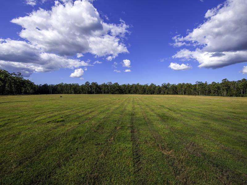 1 Franklins Road, Calamia Sold by Farmbuy.com - image 19