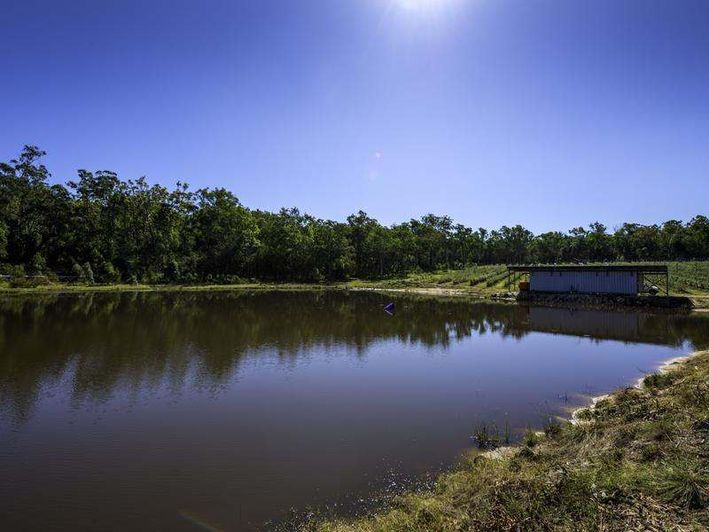 1 Franklins Road, Calamia Sold by Farmbuy.com - image 10