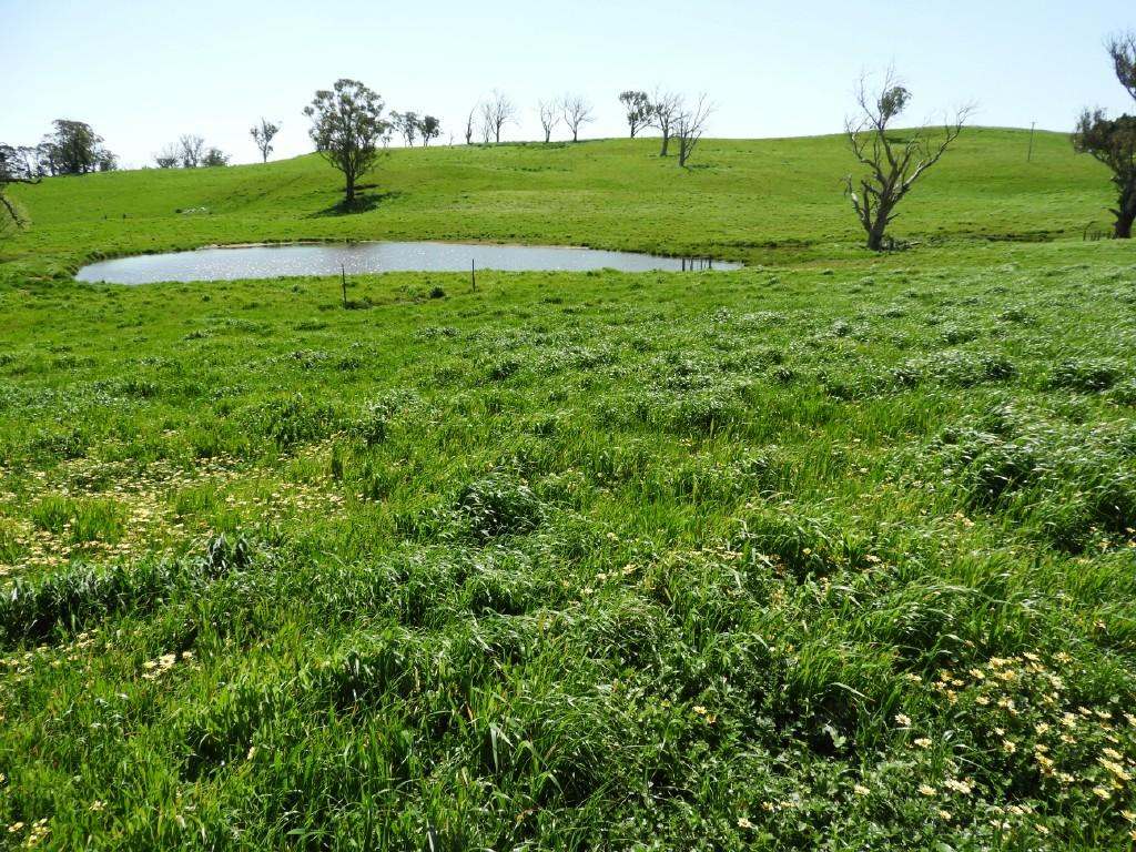 2866 Gurrundah Road , Gurrundah via Goulburn Sold by Farmbuy.com - image 18