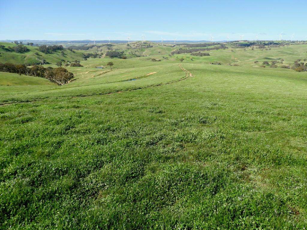 2866 Gurrundah Road , Gurrundah via Goulburn Sold by Farmbuy.com - image 17