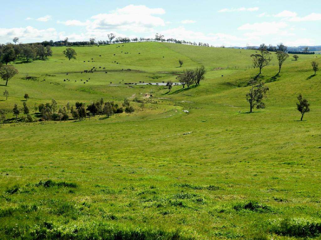 2866 Gurrundah Road , Gurrundah via Goulburn Sold by Farmbuy.com - image 20