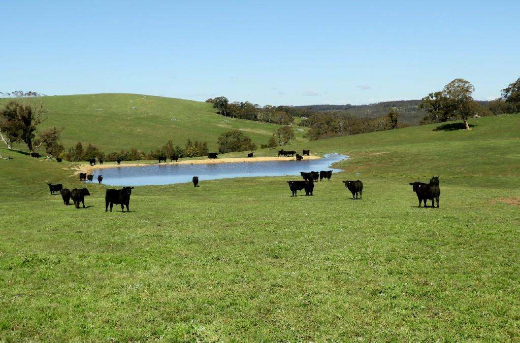 2866 Gurrundah Road , Gurrundah via Goulburn Sold by Farmbuy.com - image 3