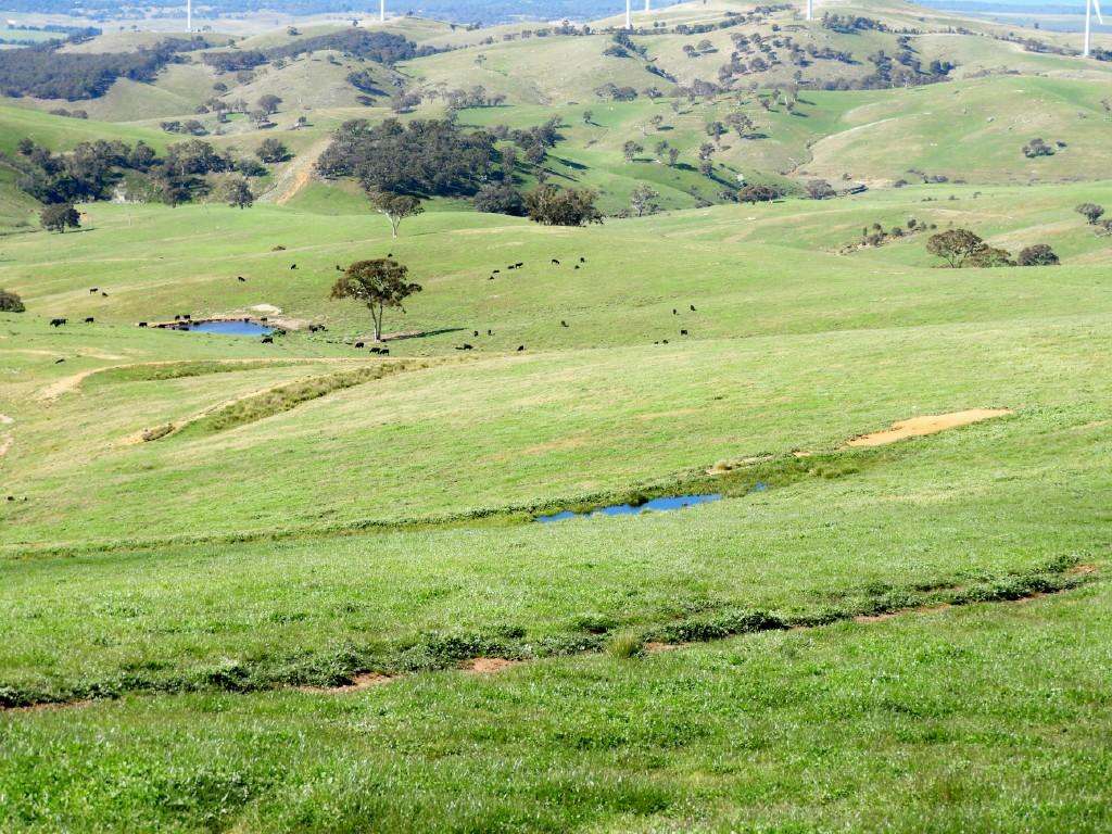 2866 Gurrundah Road , Gurrundah via Goulburn Sold by Farmbuy.com - image 19