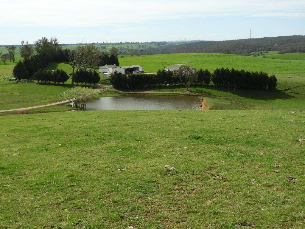2866 Gurrundah Road , Gurrundah via Goulburn Sold by Farmbuy.com - image 6