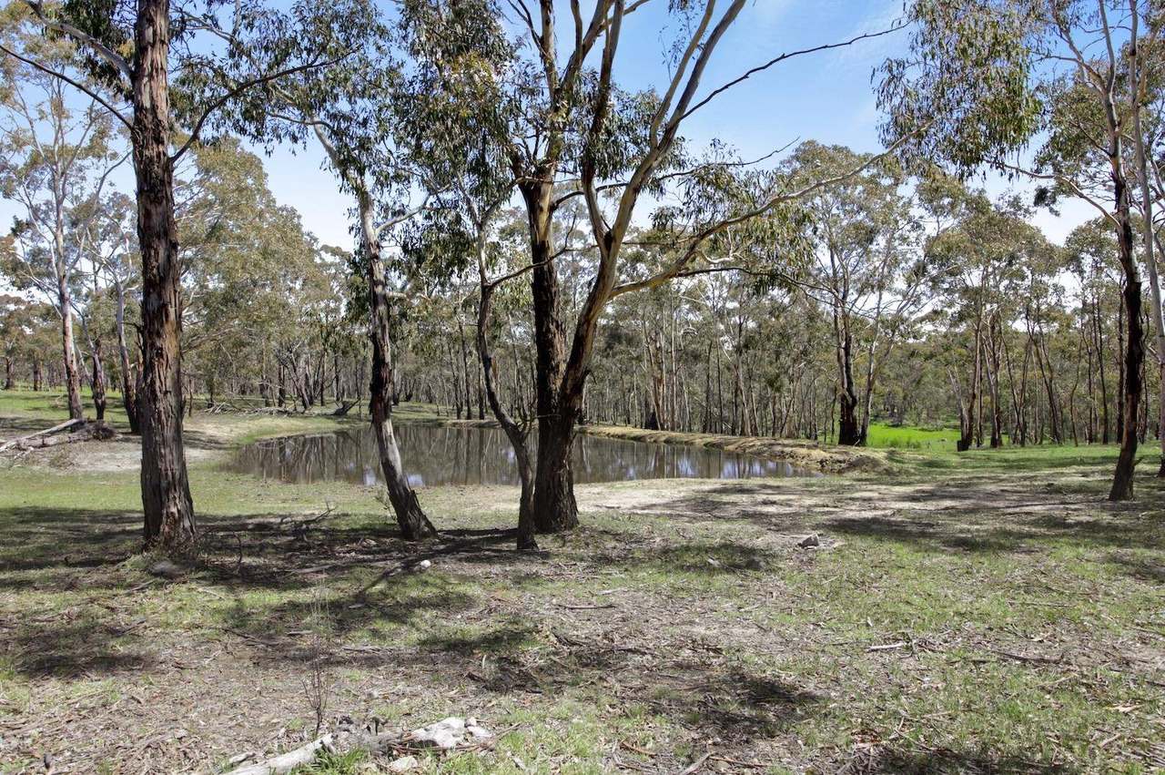 38 Willow Vale Road,, Wallerawang Sold by Farmbuy.com - image 23
