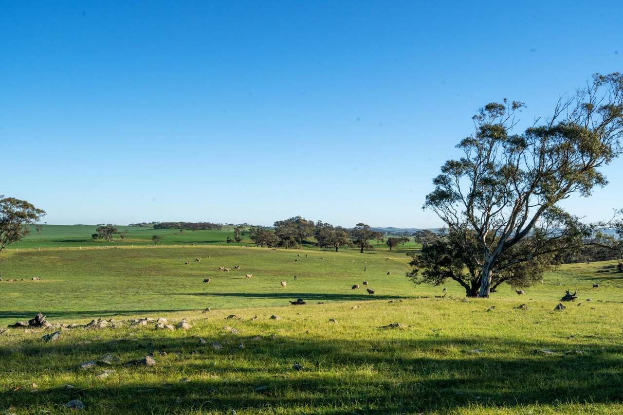 3872 Pipeline Road , Moculta Sold by Farmbuy.com - image 21