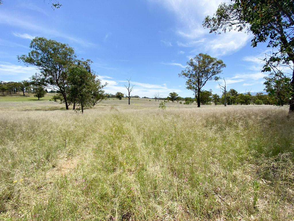 Lot 18 Glen Davis Road, Glen Davis Sold by Farmbuy.com - image 7