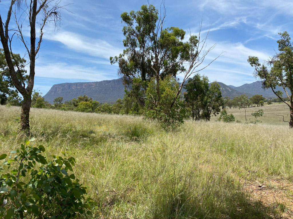 Lot 18 Glen Davis Road, Glen Davis Sold by Farmbuy.com - image 9