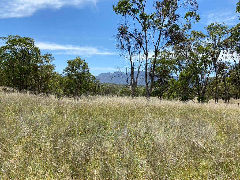 Lot 18 Glen Davis Road, Glen Davis Sold by Farmbuy.com - image 5