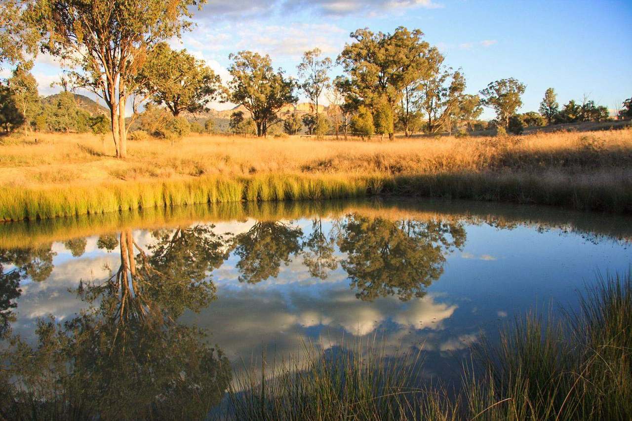 Lot 18 Glen Davis Road, Glen Davis Sold by Farmbuy.com - image 16