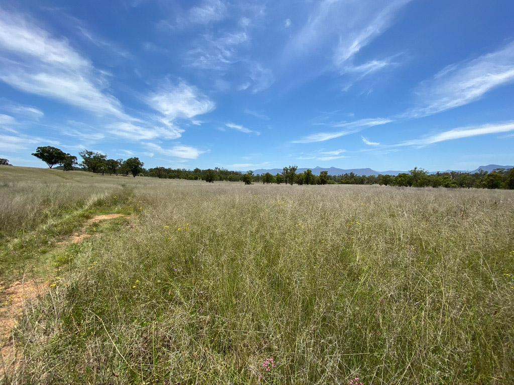 Lot 18 Glen Davis Road, Glen Davis Sold by Farmbuy.com - image 13